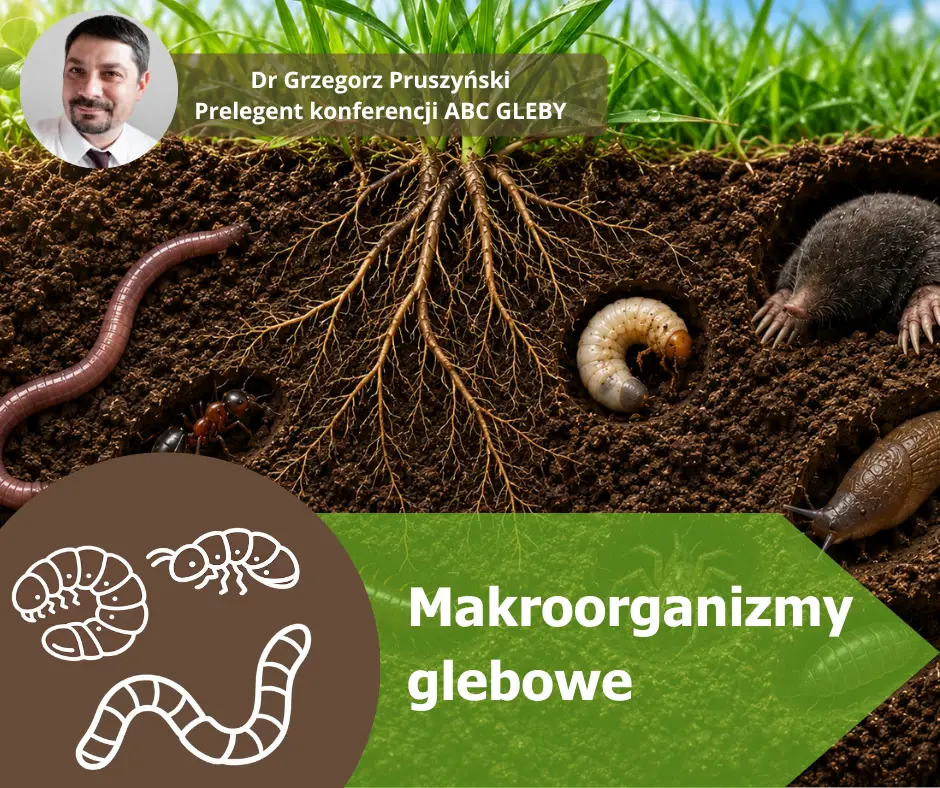 Makroorganizmy glebowe – niewidoczni mieszkańcy gleby, którzy decydują o plonie